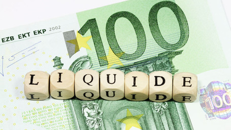 Hundert Euro Schein und das Wort Liquidität